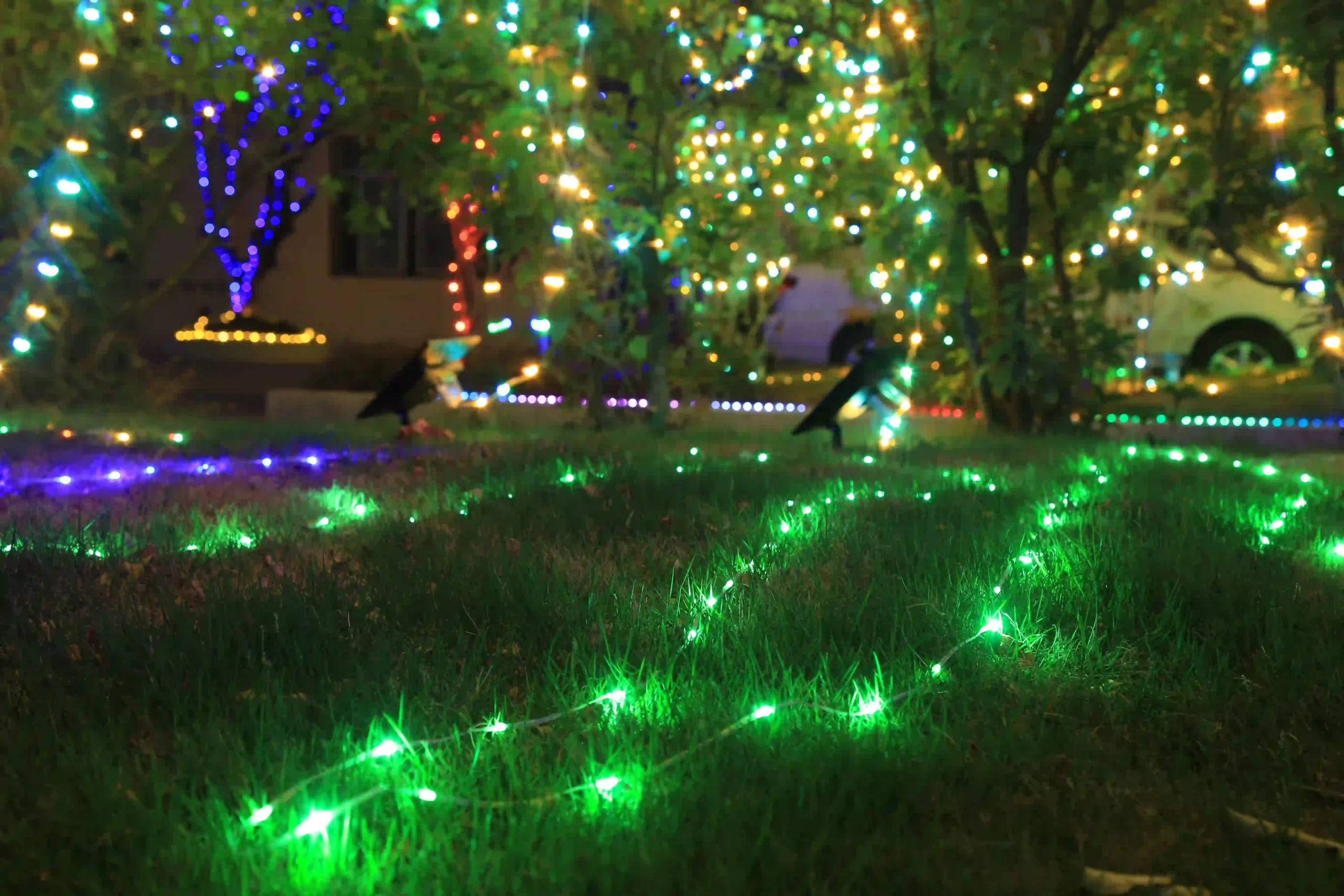 green string lights​