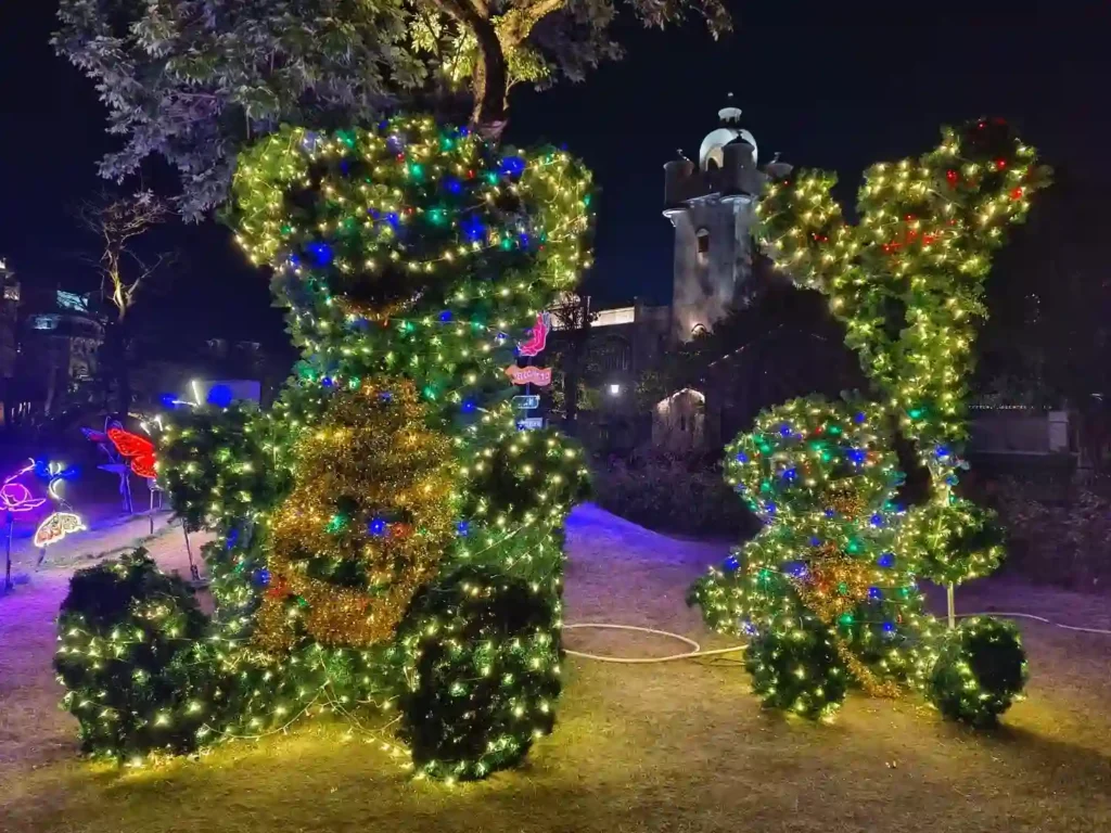 Color Changing String Lights